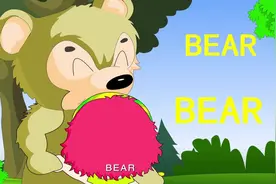 英文小天才147-野生动物名称视频封面