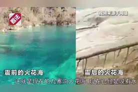 「律师看法」九寨震后游客能否退票律师为你解答视频封面