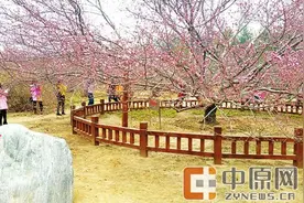 "郑大禁止外人入校"不欢迎市民赏花？引各方热议图片