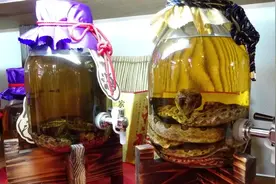 为什么毒蛇泡在酒里两年都不会死？看完我整个人都不好了