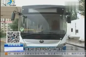 节能：新能源公交推动绿色交通运输发展视频封面