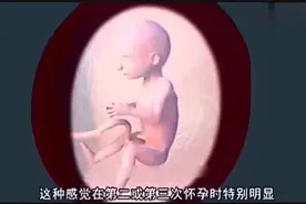 孕妈怀孕5个月时，宝宝在肚子里干这事，真幸福