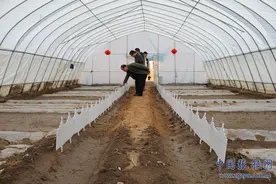 张掖高台县宣化镇建起首家现实版QQ农场图片