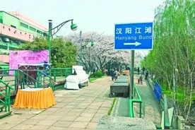 市民去晴川饭店赏樱吃闭门羹 饭店：用餐时间不开放图片