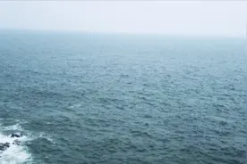 陈比觉：看来这163的智商跟80的有时也差不了多少