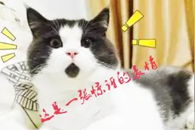 DNF神殿中心骨龙不存在的，然而结果很皮！很灵性！视频封面