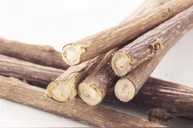 养猫有什么利器？资深铲屎官们推荐这些图片