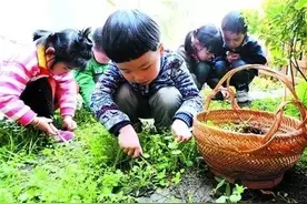 泰安开春这些野菜随处可挖，个个都是抗癌大王！（最新最全）图片