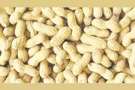 花生保存不当容易霉烂？老奶奶教我的，花生米一辈子不霉烂不生虫