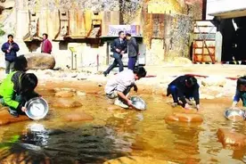 山东这个地方遍地黄金，只需80块就能随便淘，淘到金子全归个人视频封面