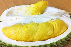你喜欢吃榴莲吗，一次吃多少合适呢？视频封面
