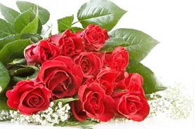 40岁50岁60岁都喜欢听的歌，特别肉麻！