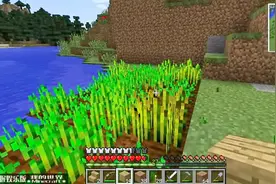 我的世界：一个新名字的由来-苦力强视频封面