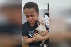 外国小男孩收到小狗的礼物，泪流满面太可爱了，是个爱心宝宝视频封面