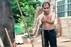 广西农村大爷厉害了，空手抓过山峰视频封面