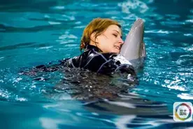 美女检察长与海豚共舞走出低谷图片