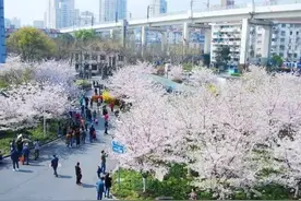 上海最美的樱花地铁站在虹口图片