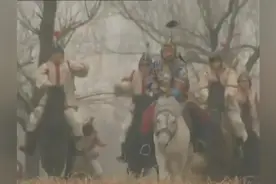 年羹尧兵权被夺 向岳钟琪兴师问罪视频封面