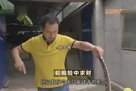 小伙养殖五步蛇，一年销售两千万，赚翻了！视频封面