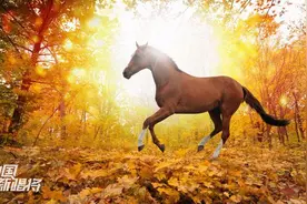 9月17日，清晨听一首醉人的歌，心情像骏马一样，要多美有多美！视频封面