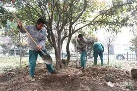 重磅！四一路铁路涵洞桥要扩建！以后进市区不堵了！图片
