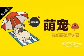 宠物猫头鹰，其实就是一只会飞的猫！图片