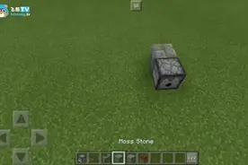 眼镜蛇养殖场建造教程