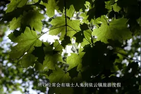 边陲小镇依云，以水为名，出口的矿泉水上百元一瓶视频封面