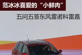 五问五答解读东风雷诺科雷嘉图片