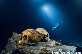 探寻玛雅文明水下神秘遗址 溶井埋葬人类尸骨图片