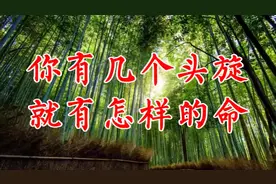 你有几个头旋，就代表怎样的命（有道理）