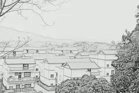 遇一人白首，择一村终老：一封写给南宁的情书图片