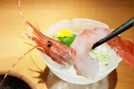 带你品尝虾中极品：牡丹虾刺身，详细讲解牡丹虾为什么那么好吃