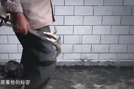 少林拳师史文杰：隐士沟隐藏高手，少林奇门兵器之少林草镰！视频封面