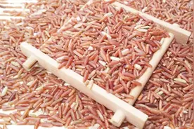 辨别真假红米 这样做视频封面