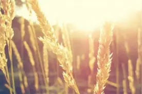 女儿的梦想被贫穷扼杀，她因此得了抑郁症视频封面