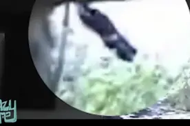 国外拍下的几次真实的女巫，竟然真的能飞视频封面