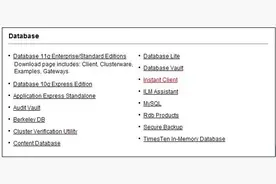 Navicat Premium 连接 Oracle 数据库图片
