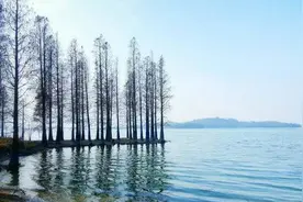离绍兴不远的这个地方，竟让人有了在洱海的感觉！图片