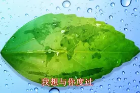 失败的好处，就是又发现了一个错误视频封面