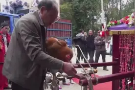 农村这样的结婚习俗见过吗？拿只鸡在花轿前面干嘛呢？