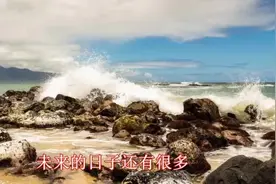 我们这一路走来真的不容易视频封面