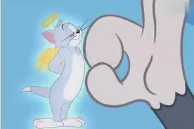 《新猫和老鼠》哇，杰瑞穿个隐形衣，汤姆都找不到了