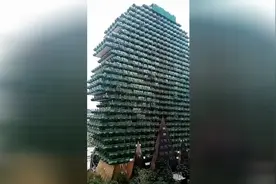 听说这大树酒店是赵本山投资的