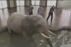 最好的8款虚拟现实产品，颠覆人类生活