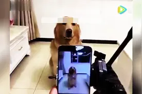 小媳妇买水果，笑抽了！视频封面