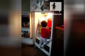 3岁小男孩打开冰箱，并试图爬进里面...结果悲剧了！图片