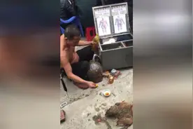 鸡腿被折断，居然一分钟被接好后活蹦乱跳