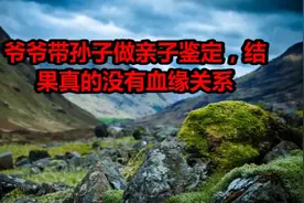 爷爷带孙子做亲子鉴定，结果真的没有血缘关系视频封面