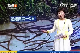 罕见！广东一路面上爬满蚯蚓，是和什么有关呢？视频封面